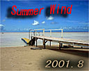 Summer Wind