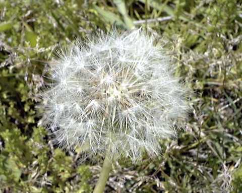 ���炫��킽��