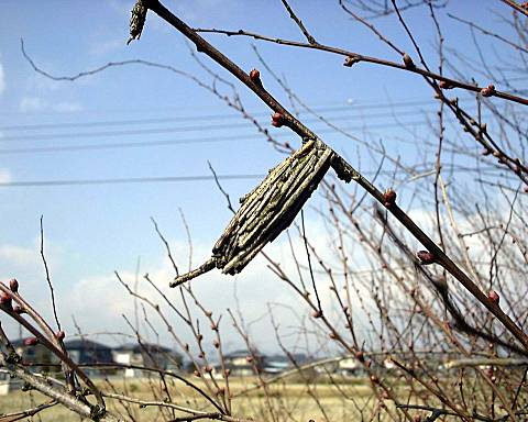 �t�E�E�E����'2000