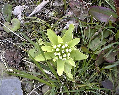 �t�E�E�E����'2000