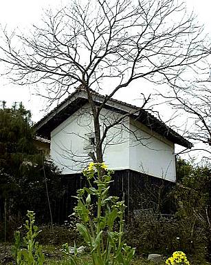 �t�E�E�E����'2000