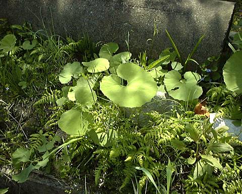 �t�E�E�E����'2000