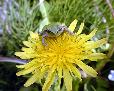 �t�E�E�E����'2000