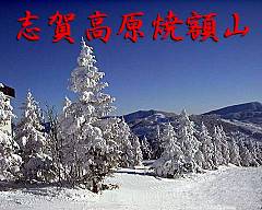 uꍂĊzR