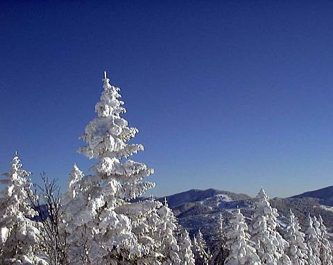 �u�ꍂ���Ċz�R