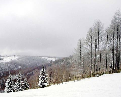 �u�ꍂ���Ċz�R